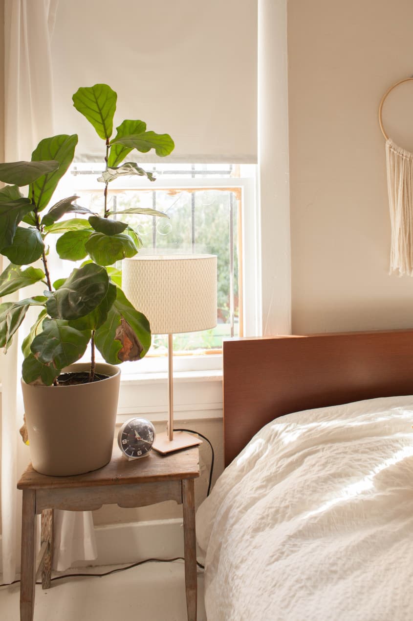 House Tour A ScandinavianInspired Oakland Rental Apartment Therapy